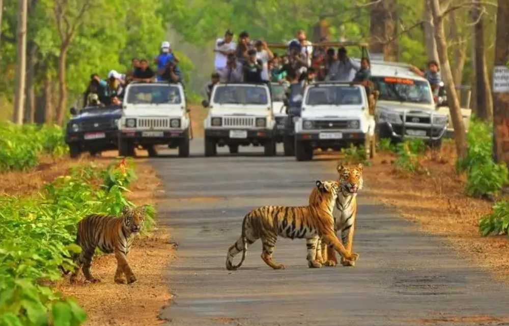 Sariska